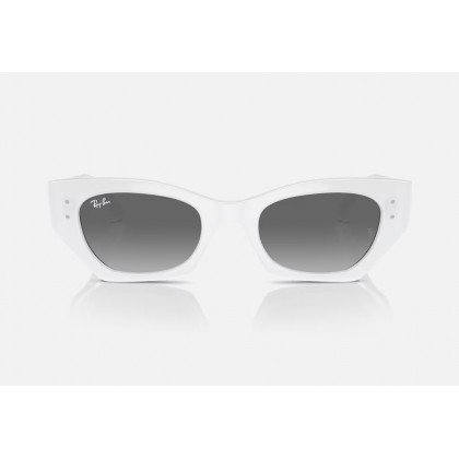 Sunglasses Ray Ban RB 4430 Zena