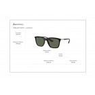 Sunglasses Ray Ban RB 4433M Ferrari