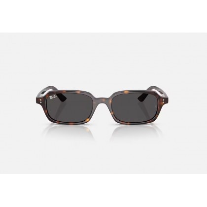 Sunglasses Ray Ban RB 4455 Ζuri