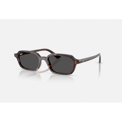 Γυαλιά ηλίου Ray Ban RB 4455  Zuri