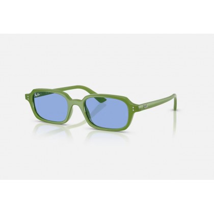 Sunglasses Ray Ban RB 4455 Ζuri