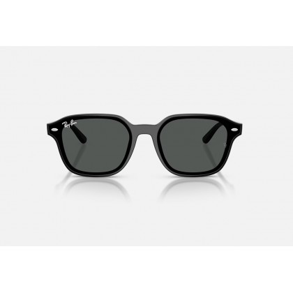 Sunglasses Ray Ban RB 4458D