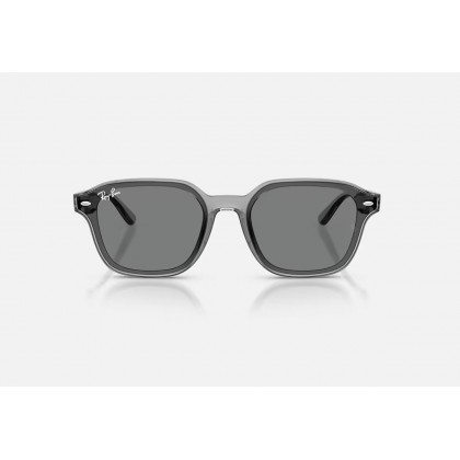 Sunglasses Ray Ban RB 4458D