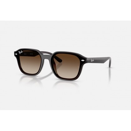 Sunglasses Ray Ban RB 4458D