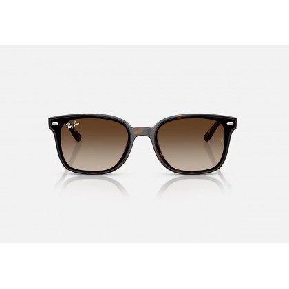 Γυαλιά ηλίου Ray Ban RB 4461D