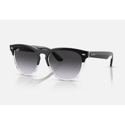 Sunglasses Ray Ban RB 4471 Iris 