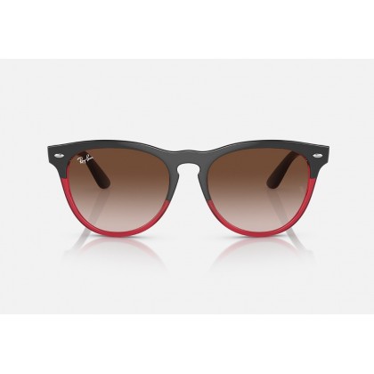 Sunglasses Ray Ban RB 4471 Iris 