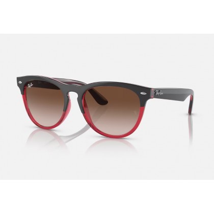 Sunglasses Ray Ban RB 4471 Iris 