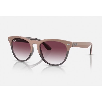 Sunglasses Ray Ban RB 4471 Iris 