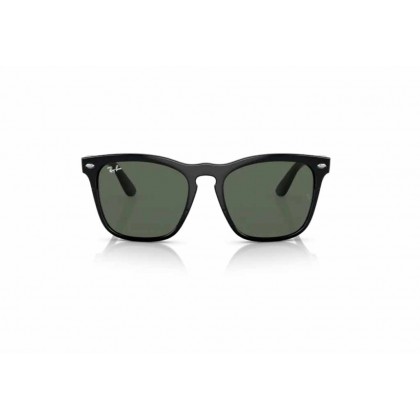 Sunglasses Ray Ban RB 4487