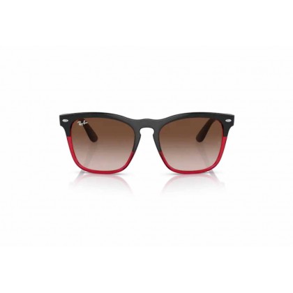 Γυαλιά ηλίου Ray Ban RB 4487