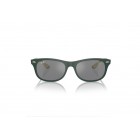 Γυαλιά ηλίου Ray Ban RB 4607M Ferrari