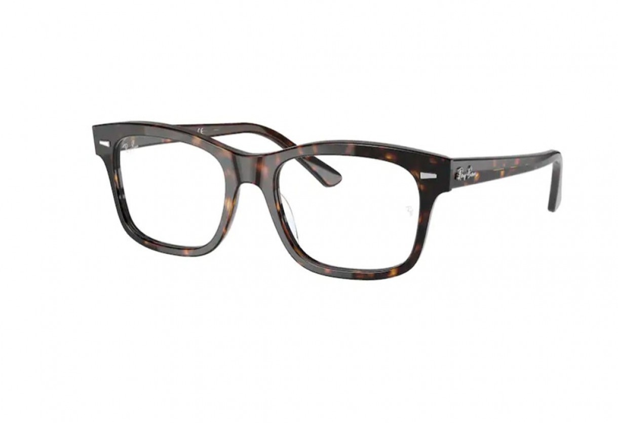 Eyeglasses Ray Ban RB 5383 Mr Burbank