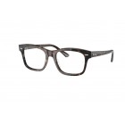 Eyeglasses Ray Ban RB 5383 Mr Burbank