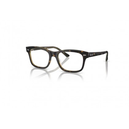 Eyeglasses Ray Ban RB 5383 Mr Burbank