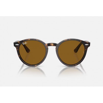 Sunglasses Ray Ban RB 7680S Larry