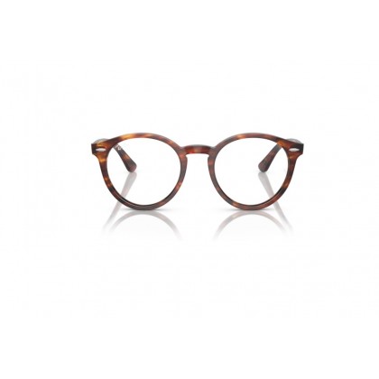 Eyeglasses Ray Ban RB 7680V Larry