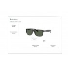 Sunglasses Ray Ban RB 4202 Andy