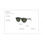 Sunglasses Ray Ban RB 2180