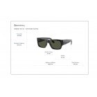 Sunglasses Ray Ban RB 2187 Nomad