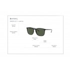 Sunglasses Ray Ban RB 4387