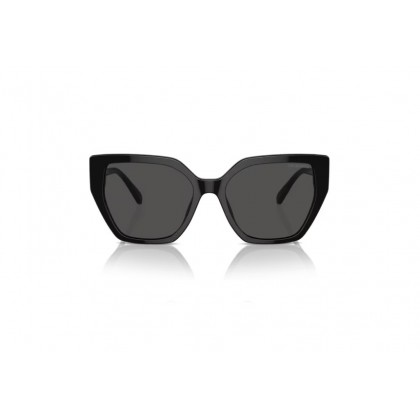 Sunglasses Swarovski SK 6016