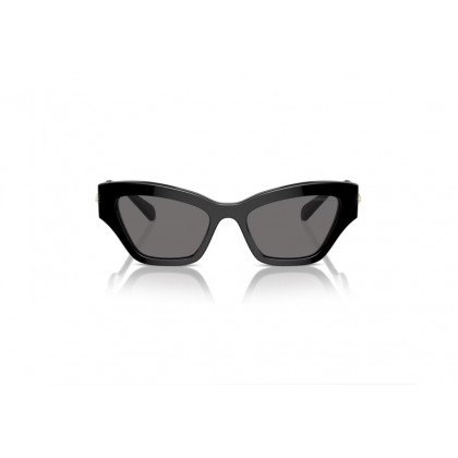 Sunglasses Swarovski SK 6021 Polarized