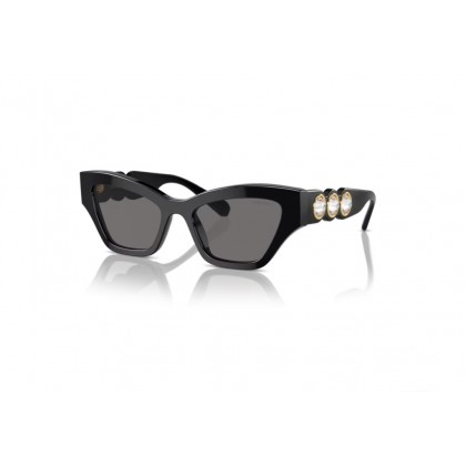 Sunglasses Swarovski SK 6021 Polarized