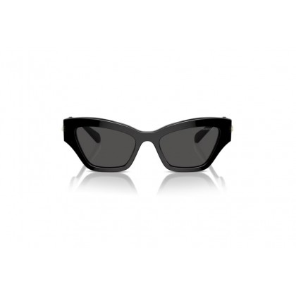 Sunglasses Swarovski SK 6021 