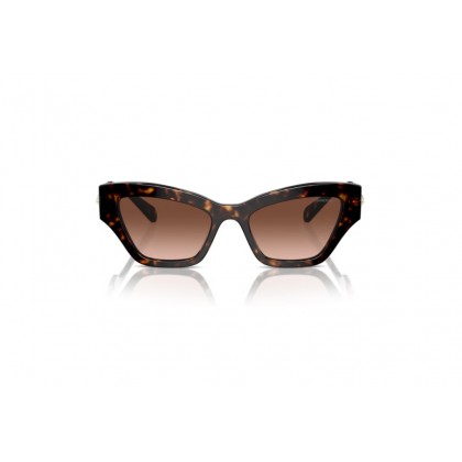 Sunglasses Swarovski SK 6021 