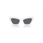 Sunglasses Swarovski SK 6021