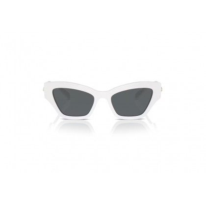 Sunglasses Swarovski SK 6021 