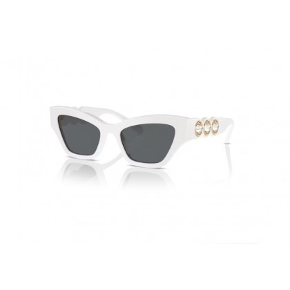 Sunglasses Swarovski SK 6021 