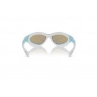 Sunglasses Swarovski SK 6024