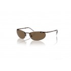 Sunglasses Swarovski SK 7019