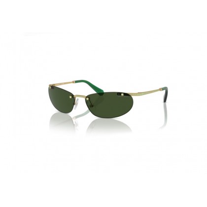 Sunglasses Swarovski SK 7019