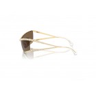 Sunglasses Swarovski SK 7022