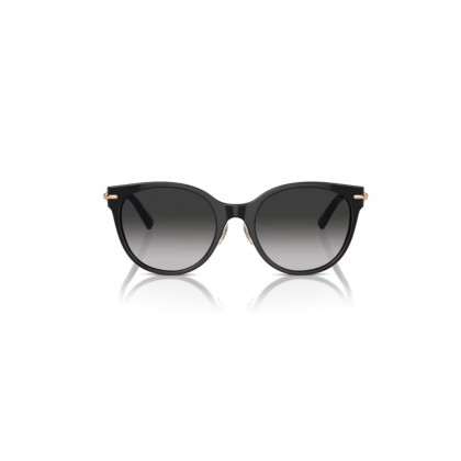 Sunglasses Tiffany & Co TF 4223D