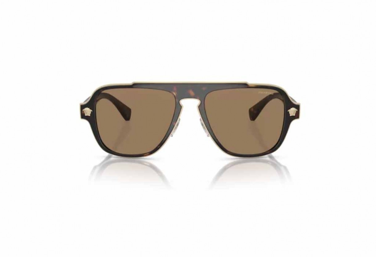 Γυαλιά ηλίου Versace VE 2199 Polarized