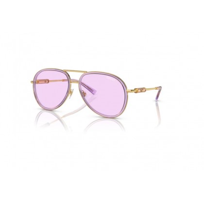 Sunglasses Versace VE 2260