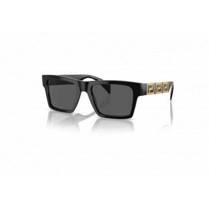 Sunglasses Versace VE 4445