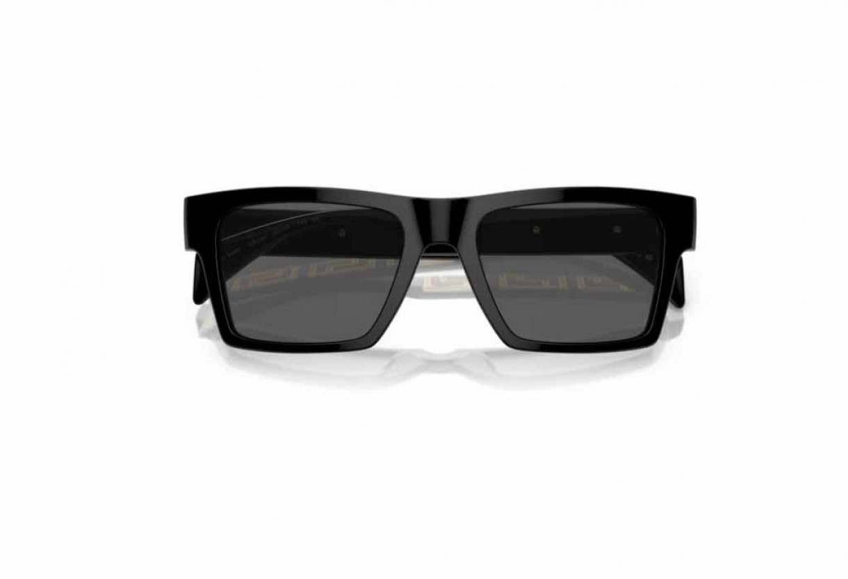 Sunglasses Versace VE 4445