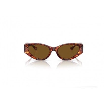 Γυαλιά ηλίου Versace VE 4454 Polarized