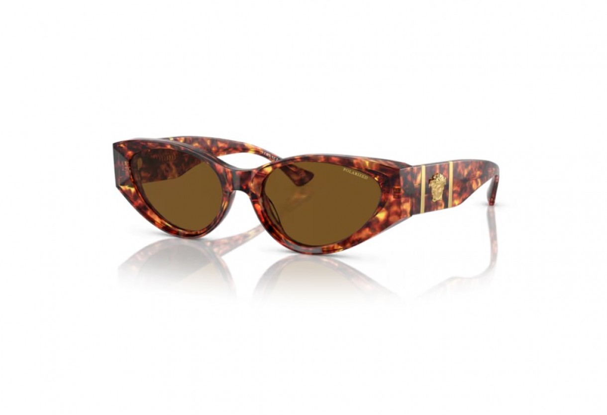 Γυαλιά ηλίου Versace VE 4454 Polarized