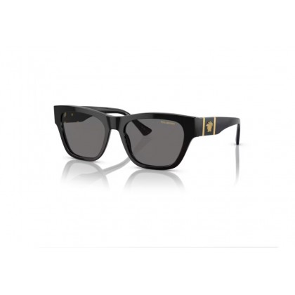 Γυαλιά ηλίου Versace VE 4457 Polarized