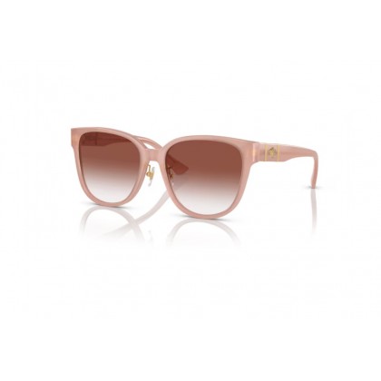 Sunglasses Versace VE 4460D