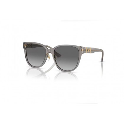 Sunglasses Versace VE 4460D