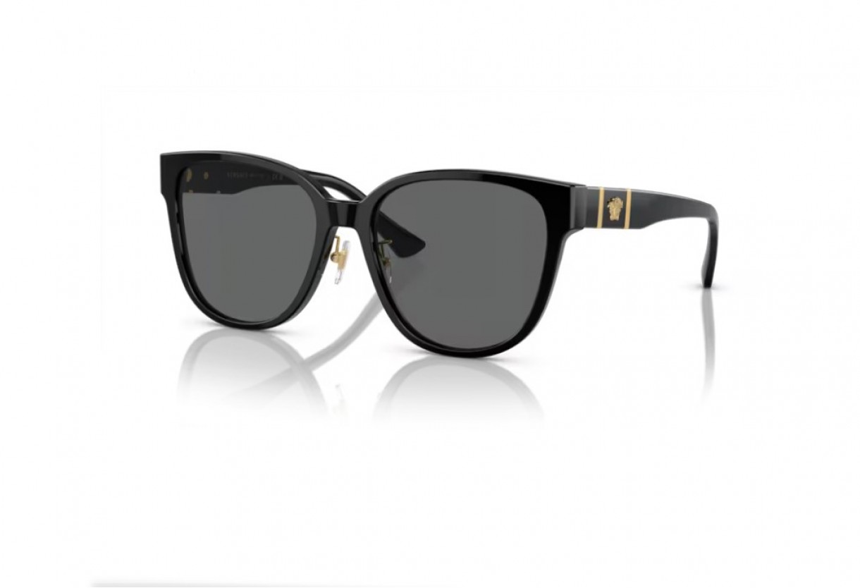 Sunglasses Versace VE 4460D