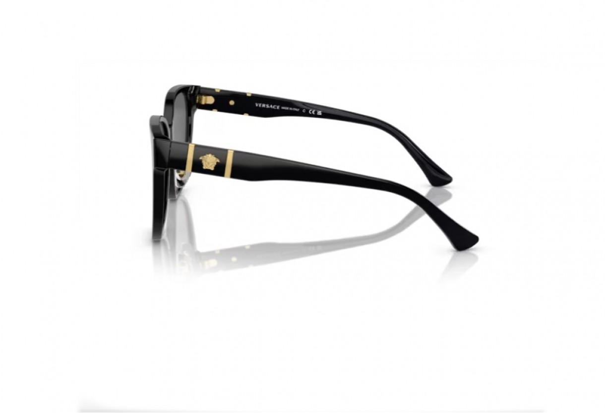 Sunglasses Versace VE 4460D