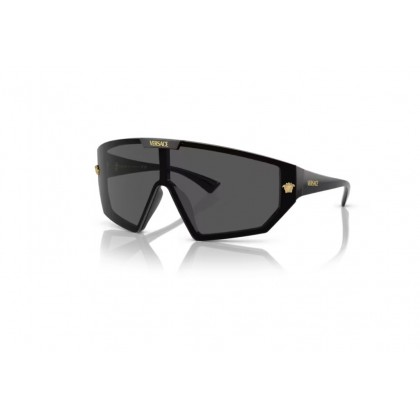 Sunglasses Versace VE 4461 + Extra Lense